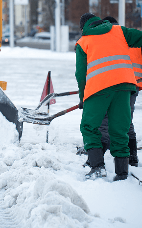 PT. Borneo Iban Jaya Perkasa