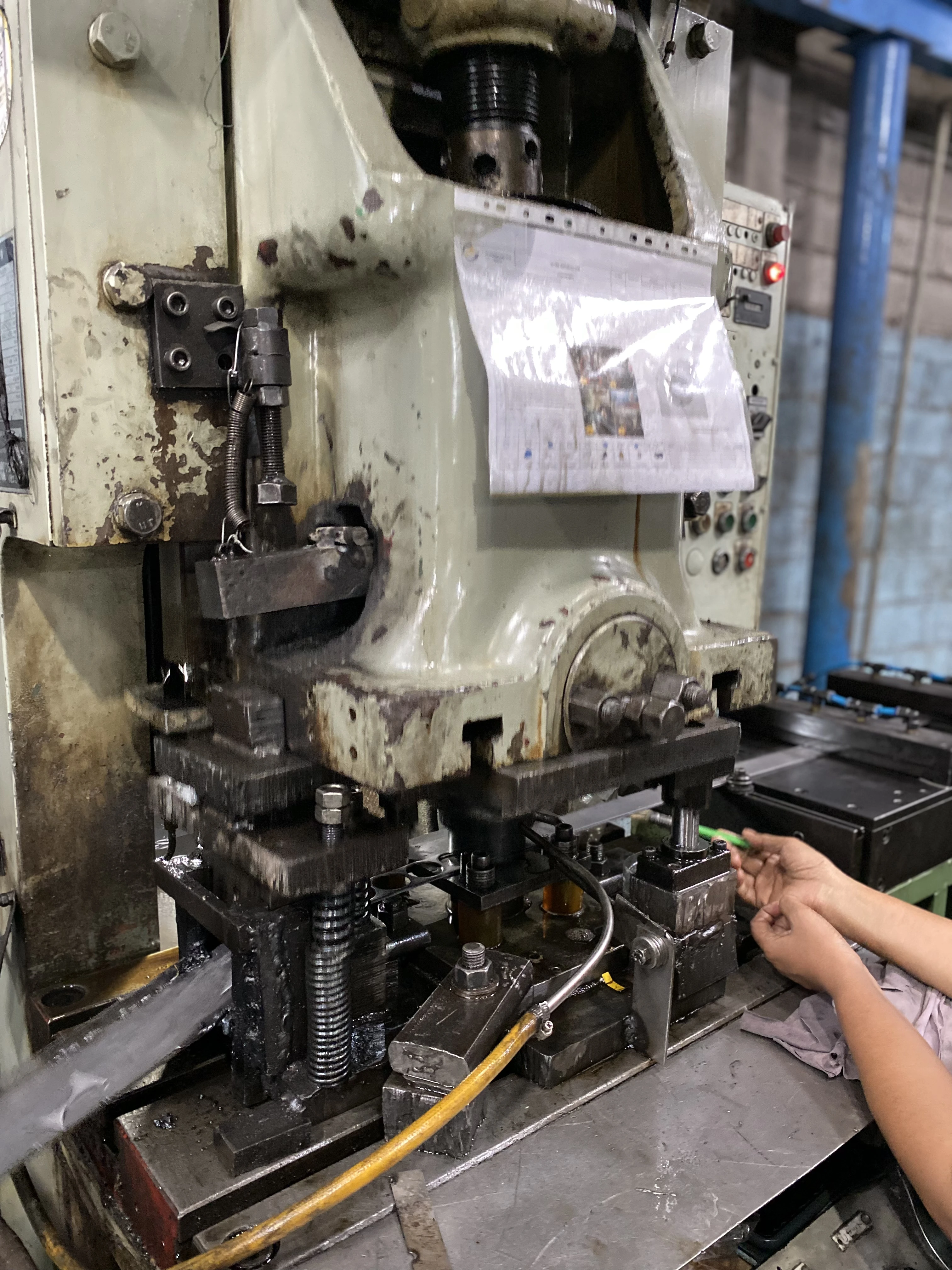 PT. Borneo Iban Jaya Perkasa